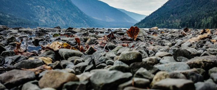 The Importance of Rock and Pebbles in Gardening