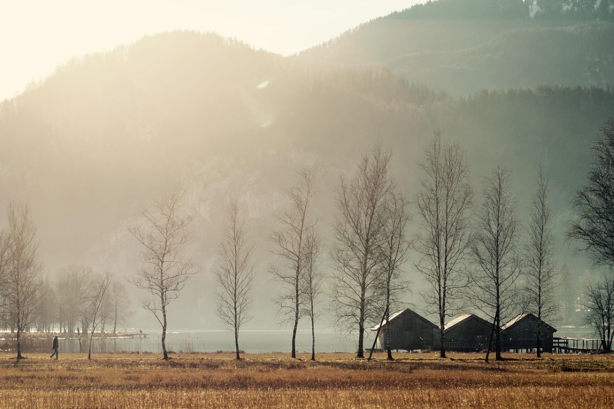 Beautiful landscape